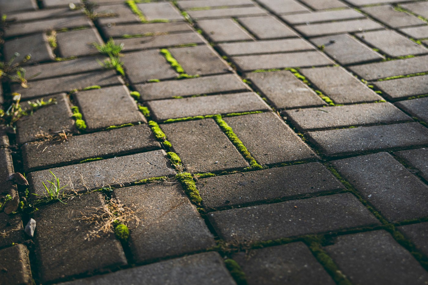 Bestrating detail