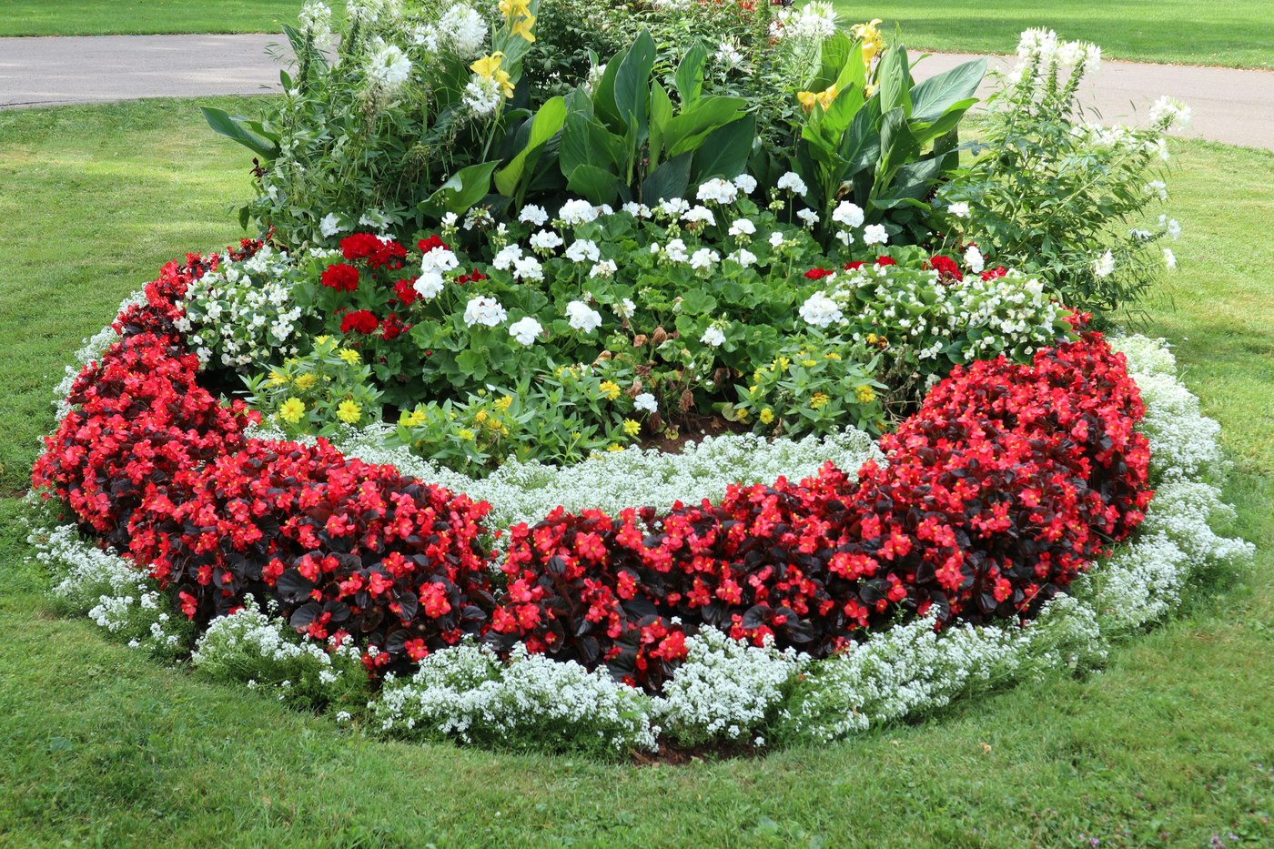 Kleurrijke border
