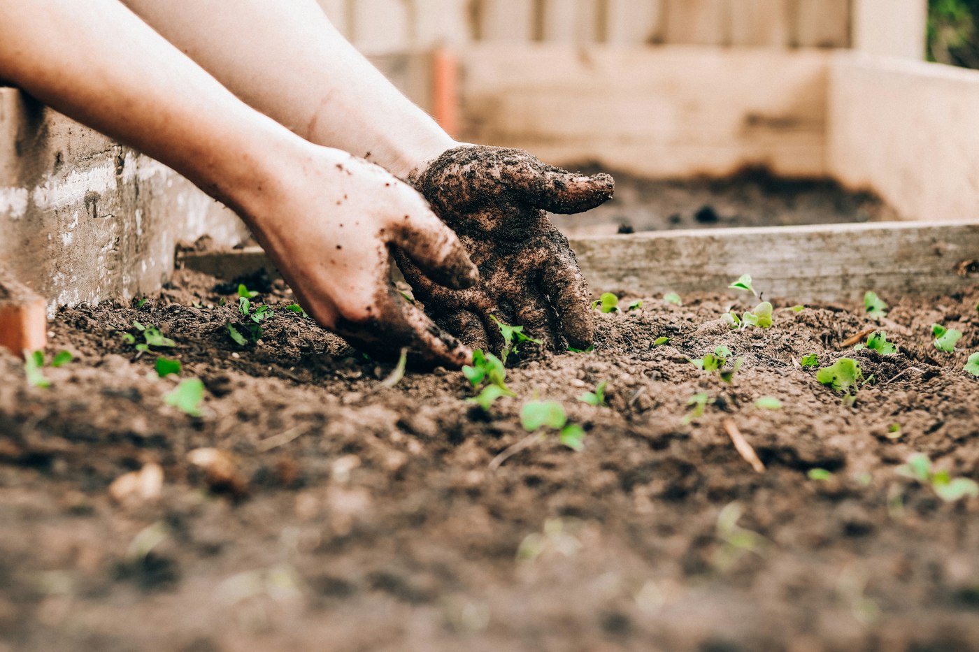 Handmatige aanleg en beplanting door Midgardin