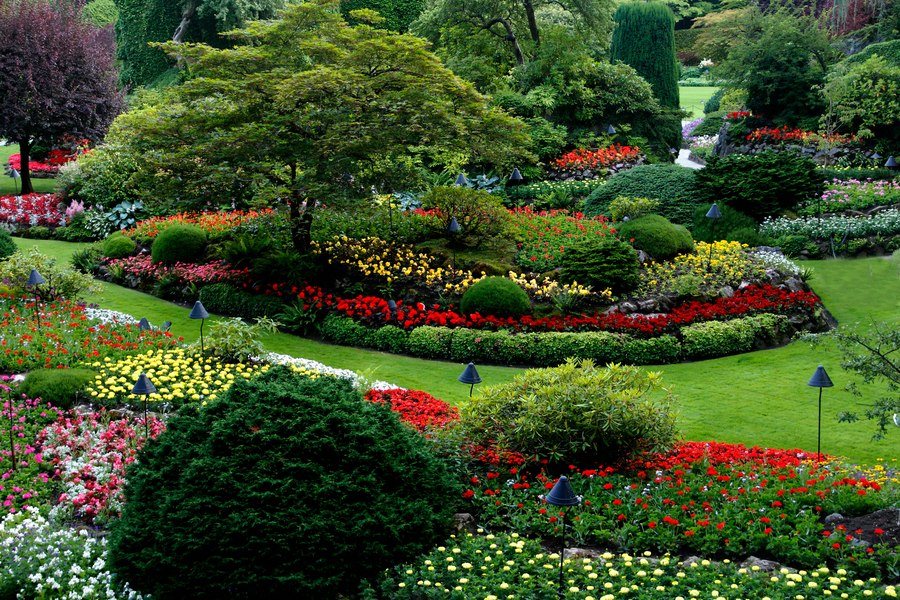 Beplanting op maat