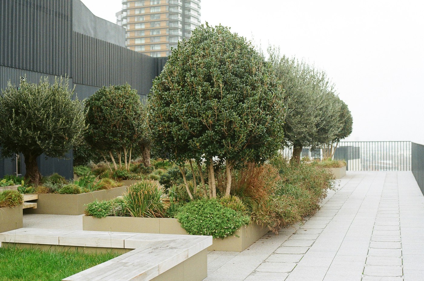 Daktuin met uitzicht