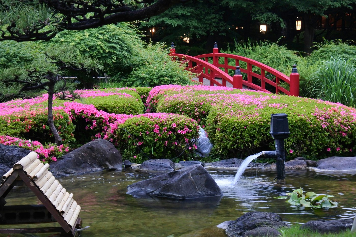 Japans geïnspireerde tuin