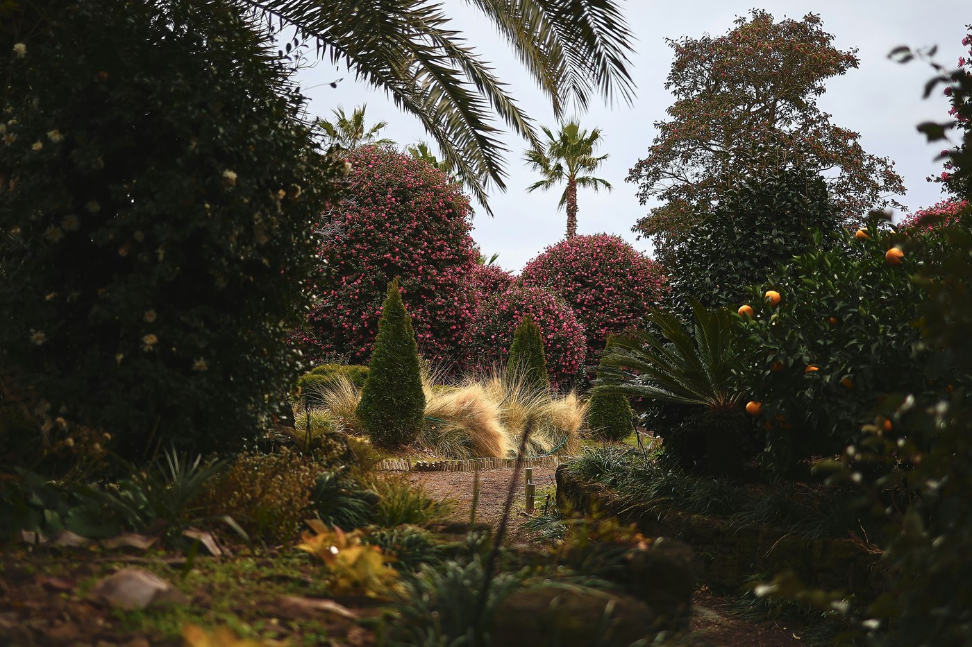 Mediterrane patio